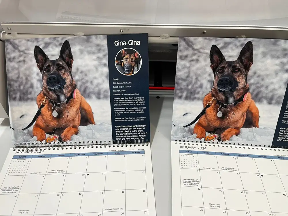 Calendari personalizzati rilegati a spirale metallica da GUUG per la TSA americana